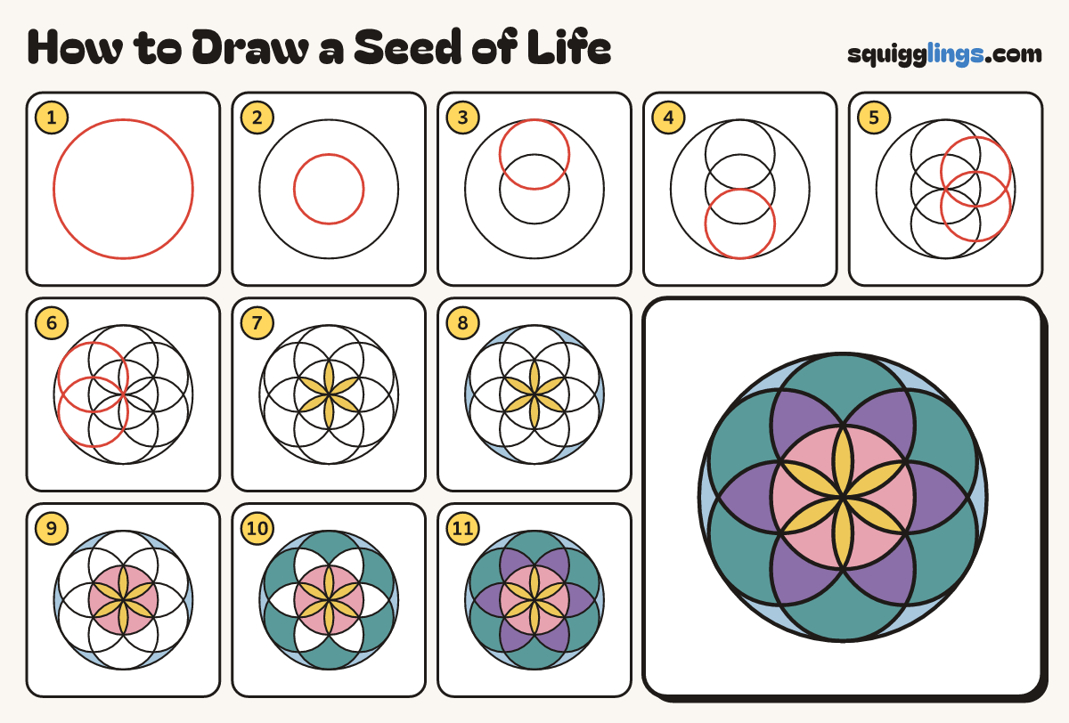 How to Draw a Seed of Life step by step: all 11 steps in one picture