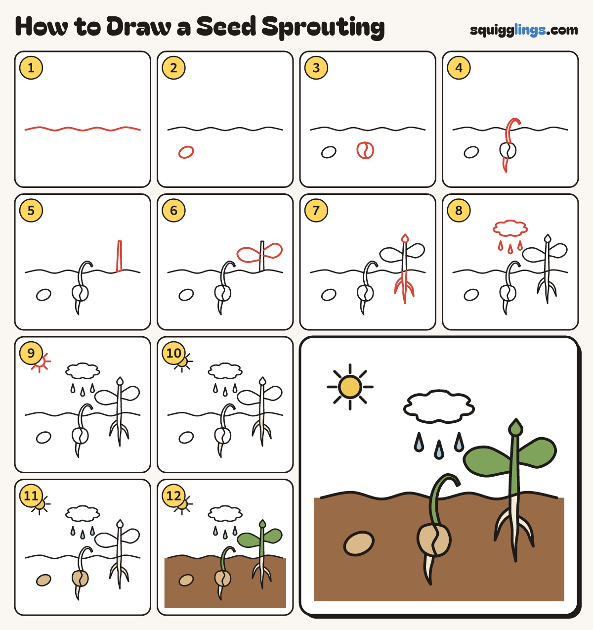 How to Draw a Seed Sprouting step by step: all 12 steps in one picture