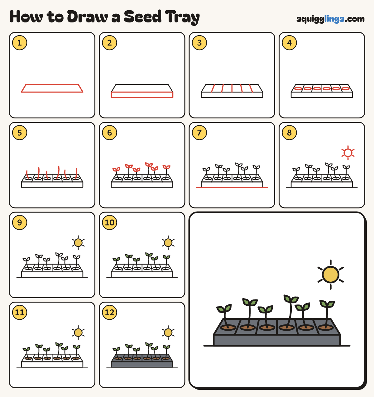 How to Draw a Seed Tray step by step: all 12 steps in one picture