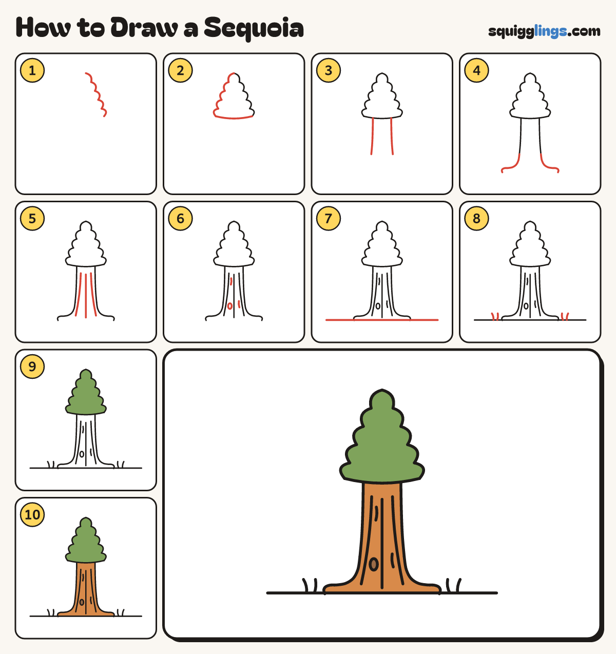 How to Draw a Sequoia step by step: all 10 steps in one picture