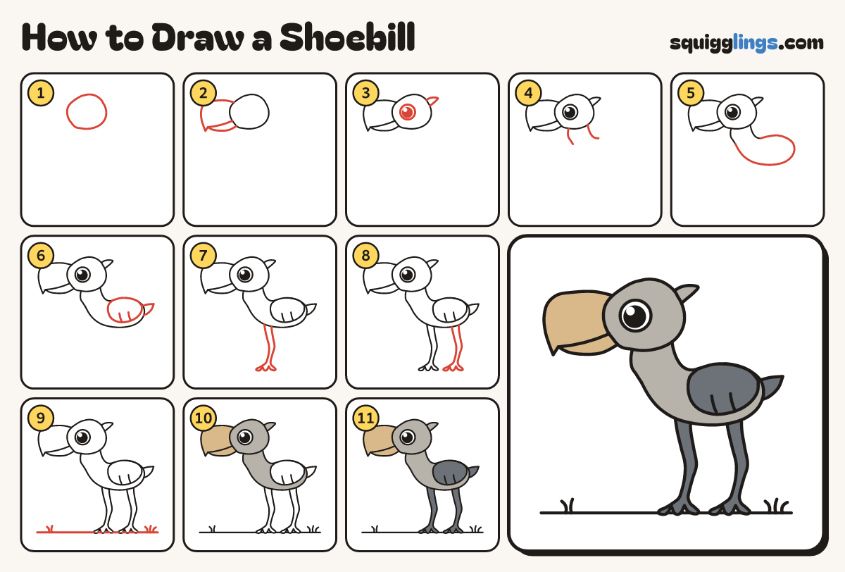How to Draw a Shoebill step by step: all 11 steps in one picture