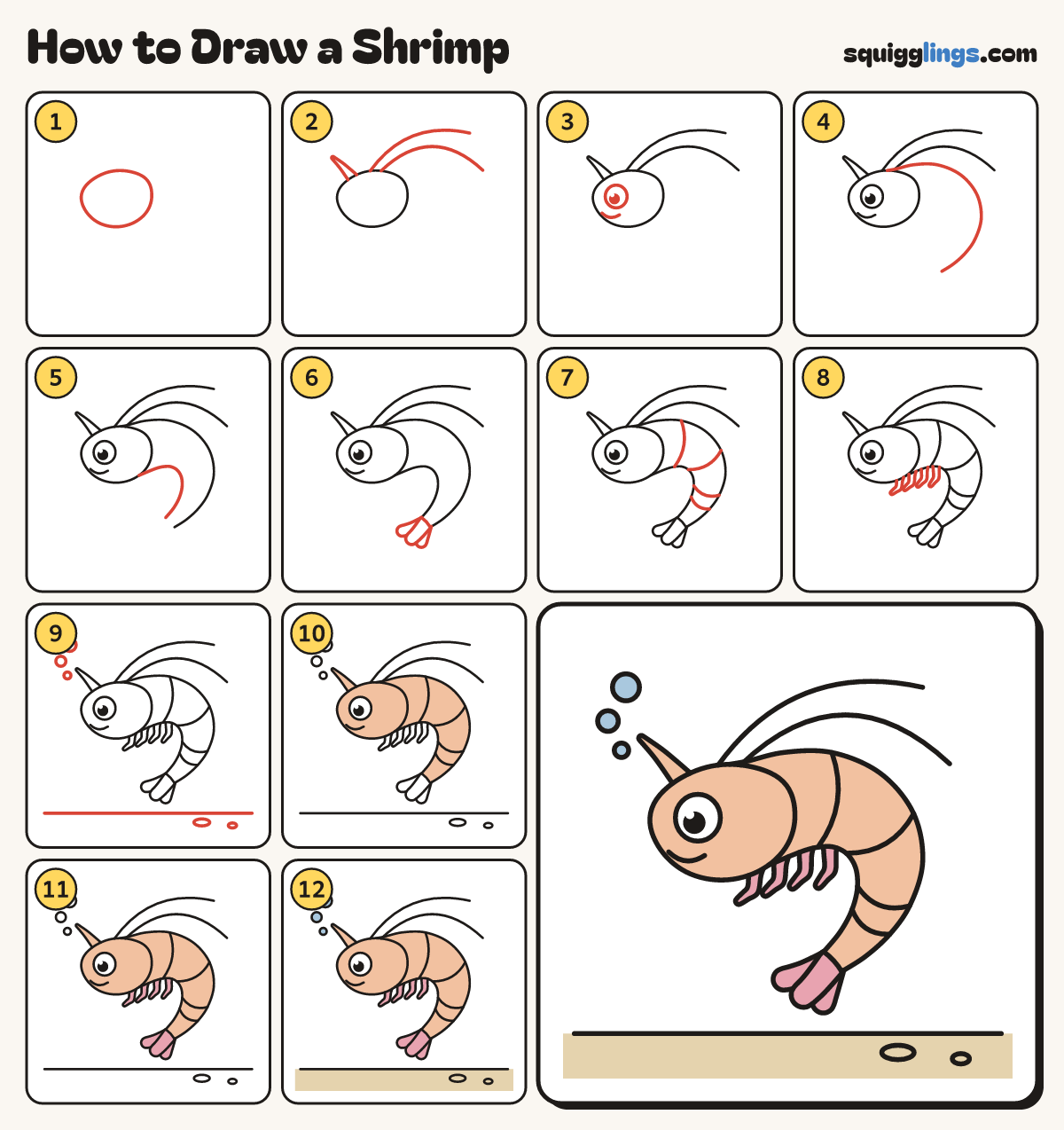 How to Draw a Shrimp step by step: all 12 steps in one picture