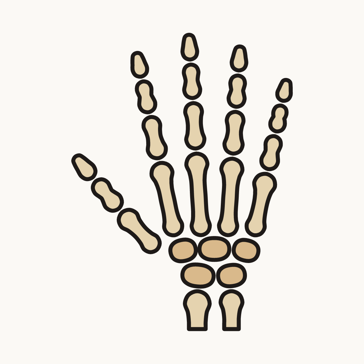Finished drawing of a skeleton hand