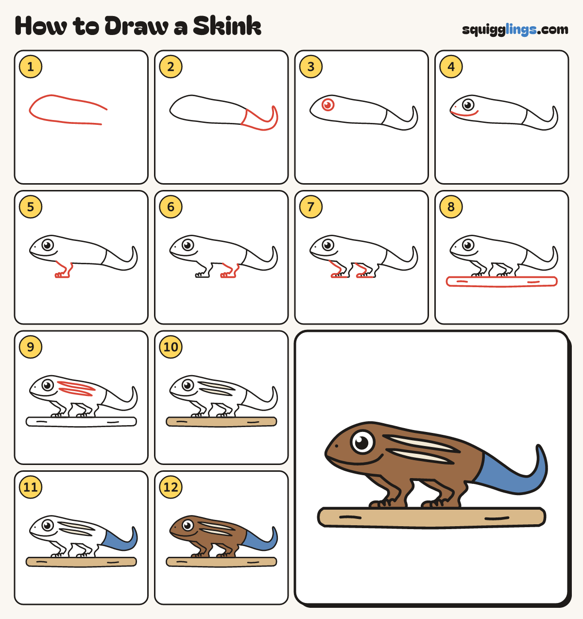 How to Draw a Skink step by step: all 12 steps in one picture
