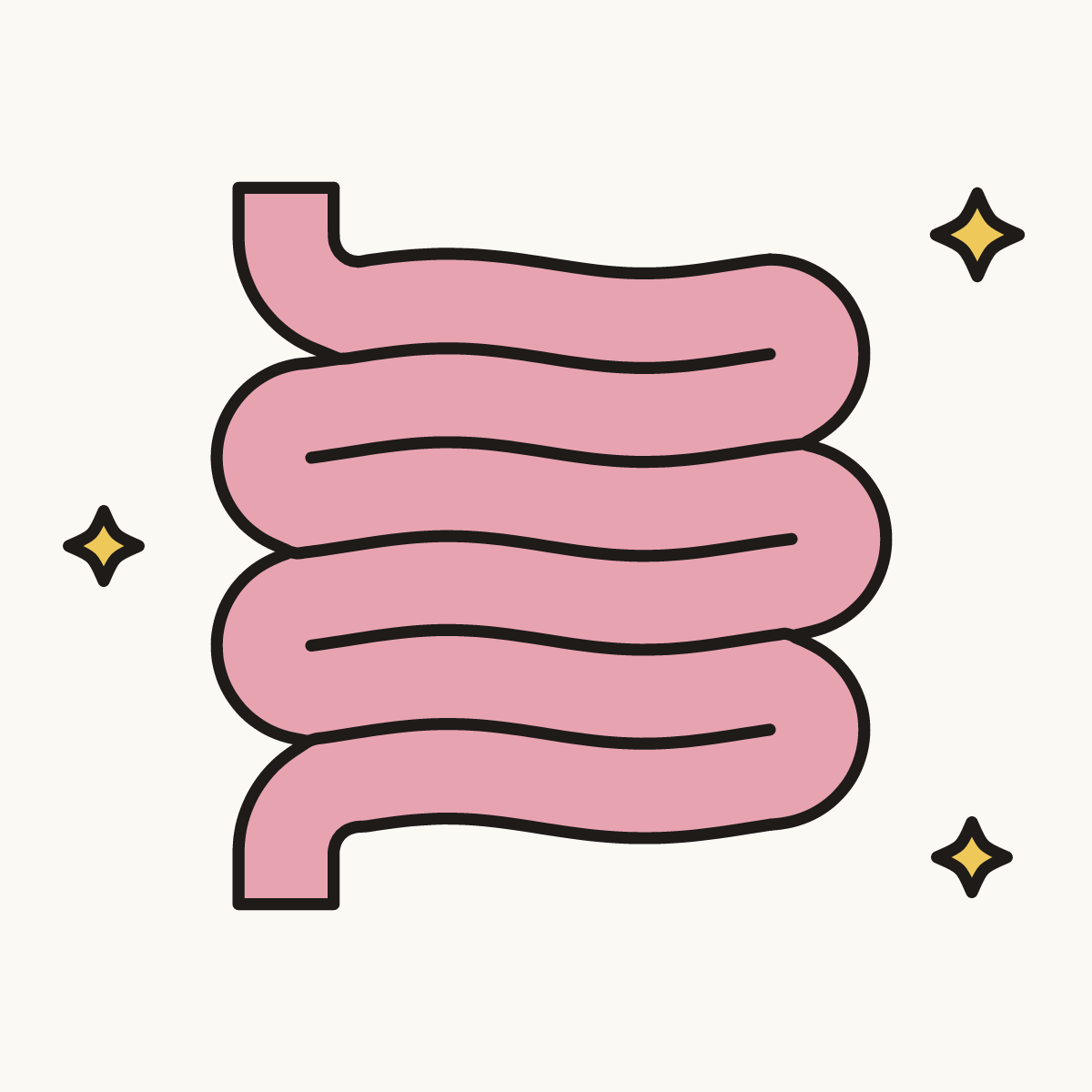 Finished drawing of a small intestine