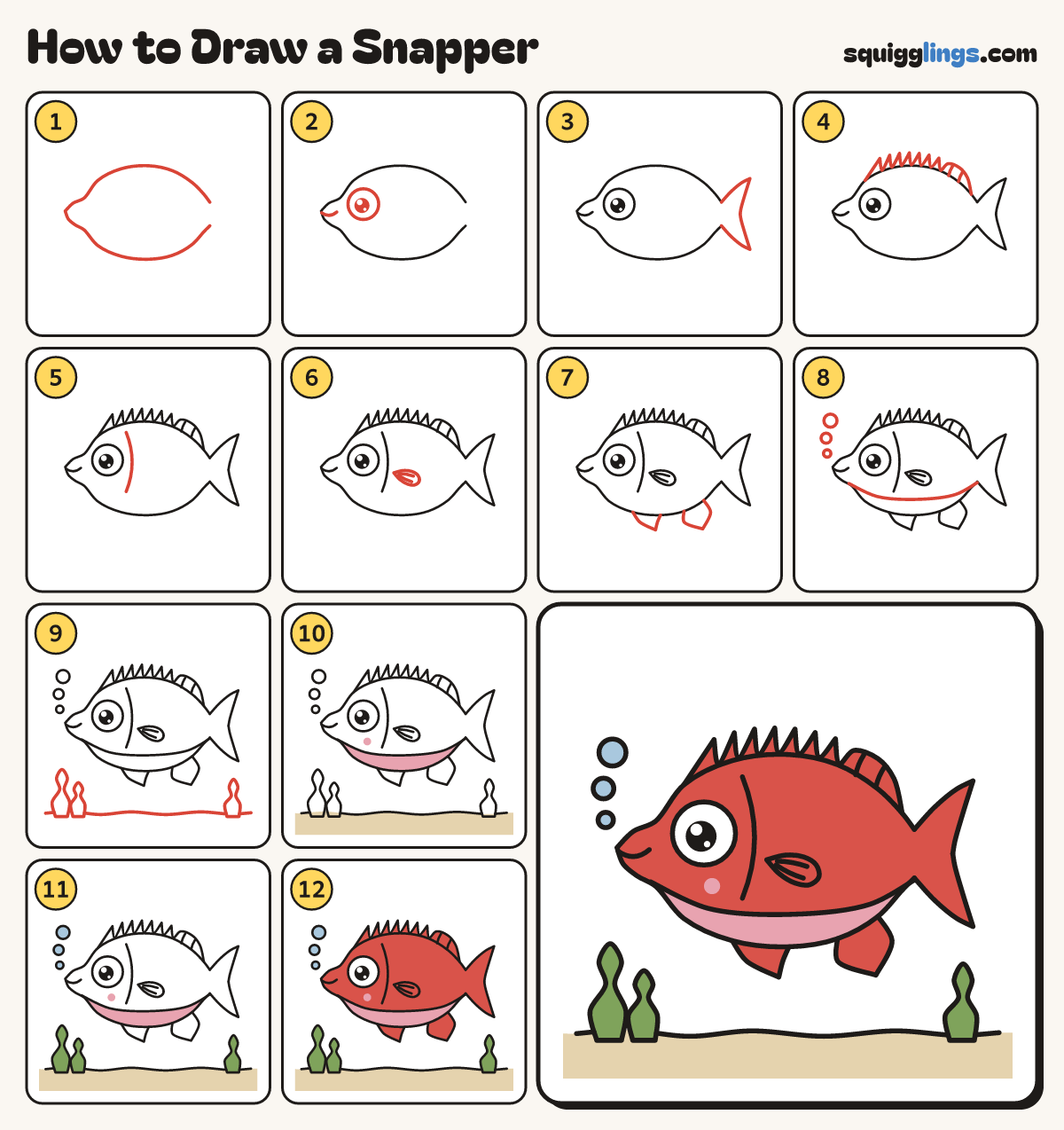 How to Draw a Snapper step by step: all 12 steps in one picture