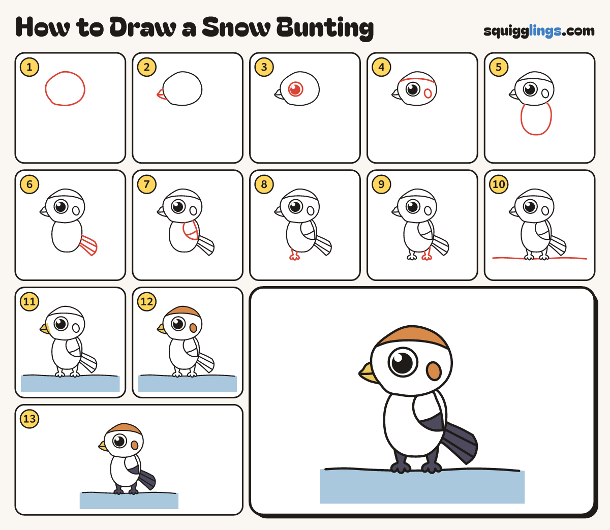 How to Draw a Snow Bunting step by step: all 13 steps in one picture