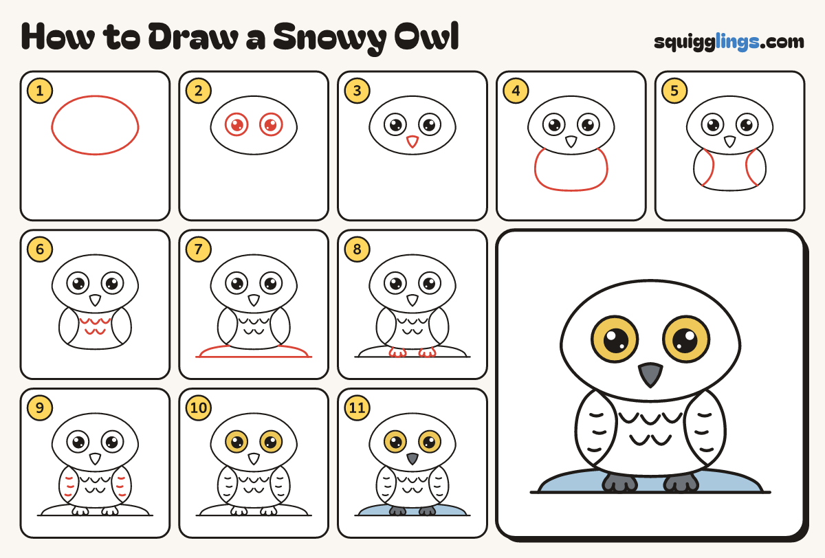 How to Draw a Snowy Owl step by step: all 11 steps in one picture