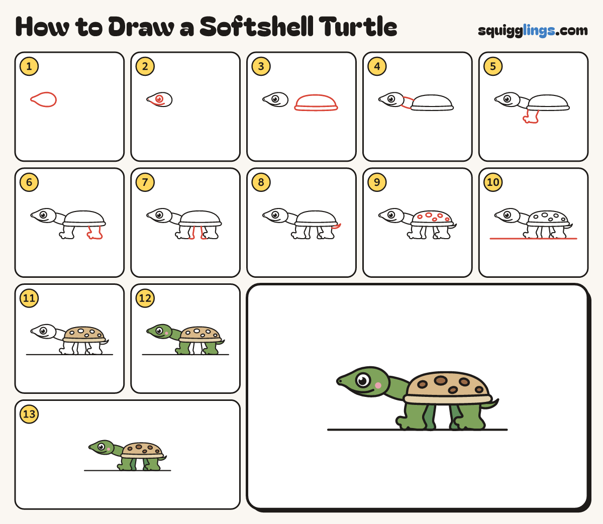 How to Draw a Softshell Turtle step by step: all 13 steps in one picture