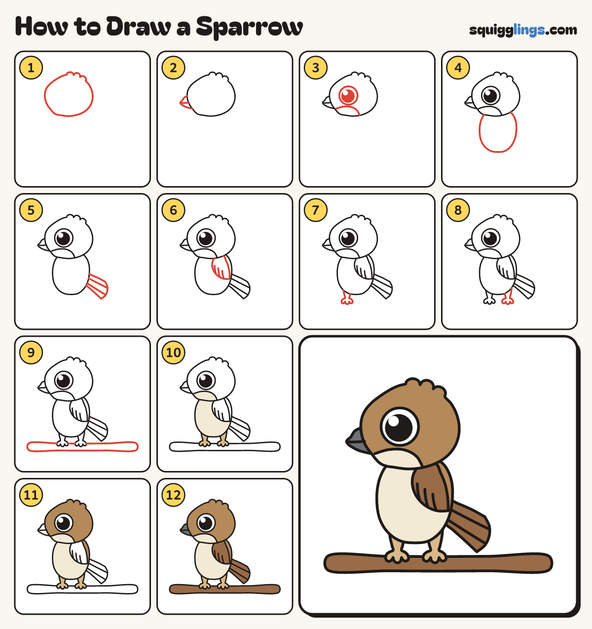How to Draw a Sparrow step by step: all 12 steps in one picture