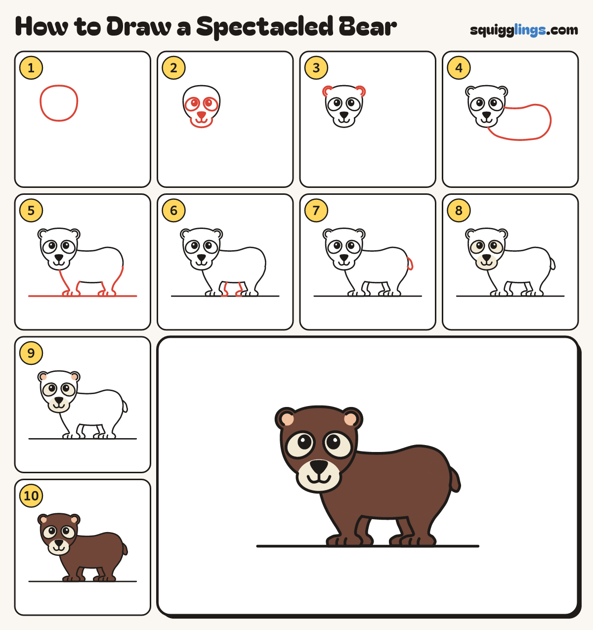 How to Draw a Spectacled Bear step by step: all 10 steps in one picture