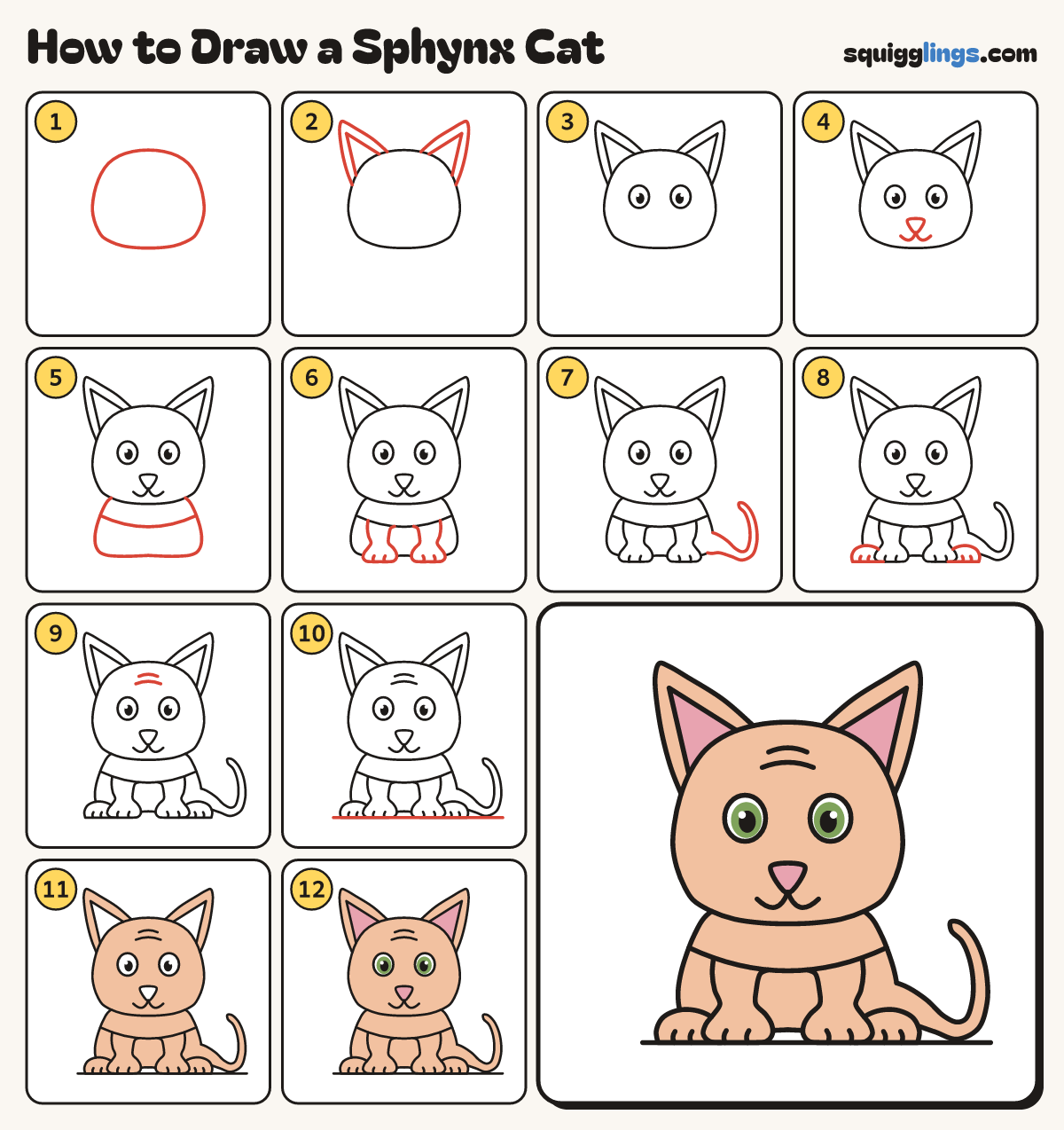 How to Draw a Sphynx Cat step by step: all 12 steps in one picture