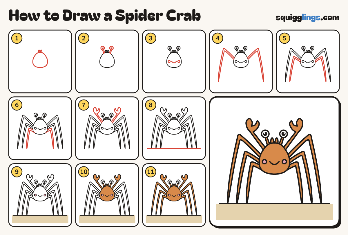 How to Draw a Spider Crab step by step: all 11 steps in one picture