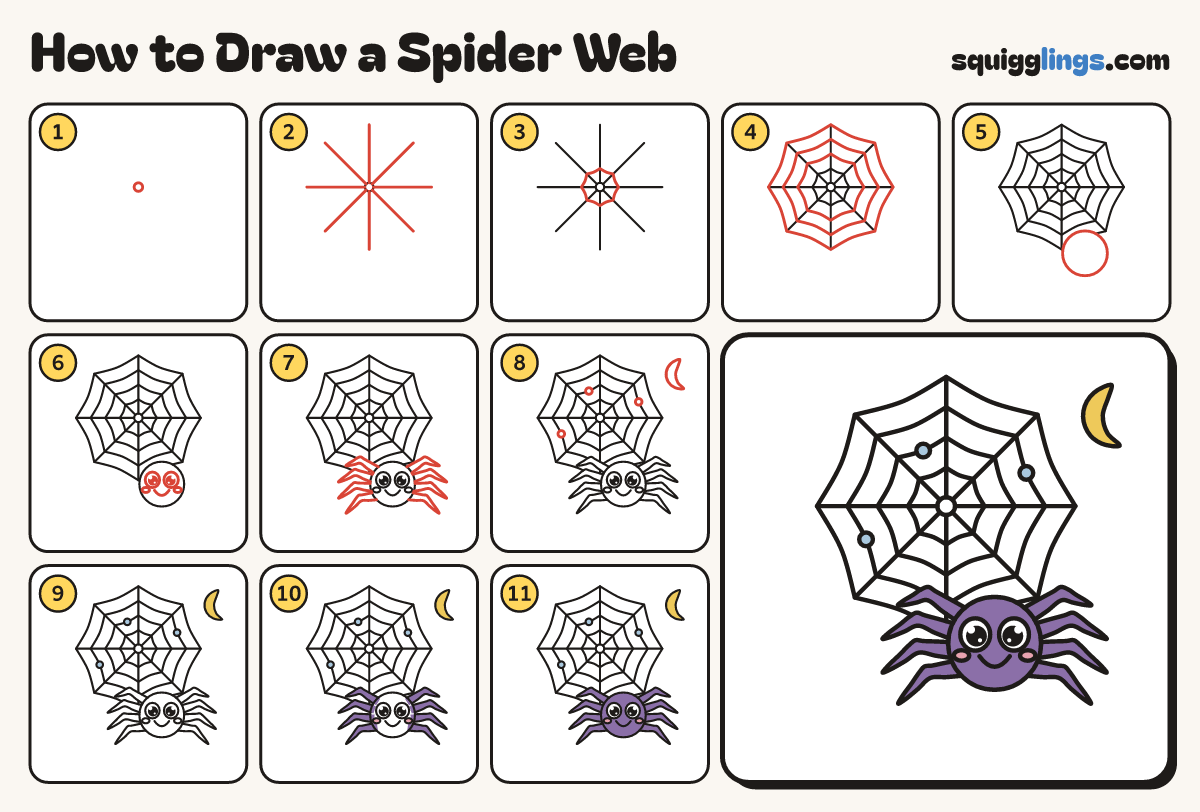 How to Draw a Spider Web step by step: all 11 steps in one picture