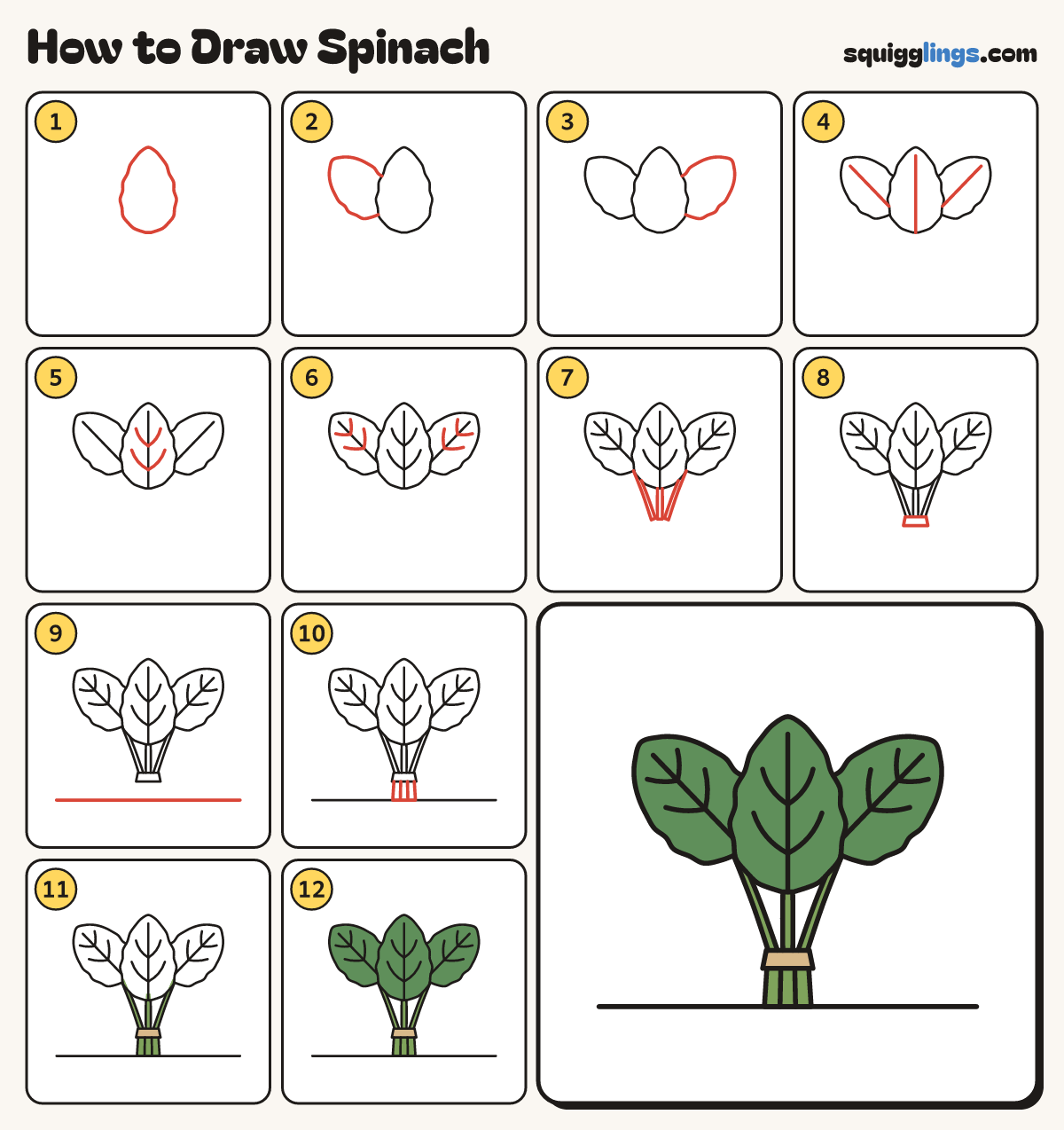 How to Draw Spinach step by step: all 12 steps in one picture