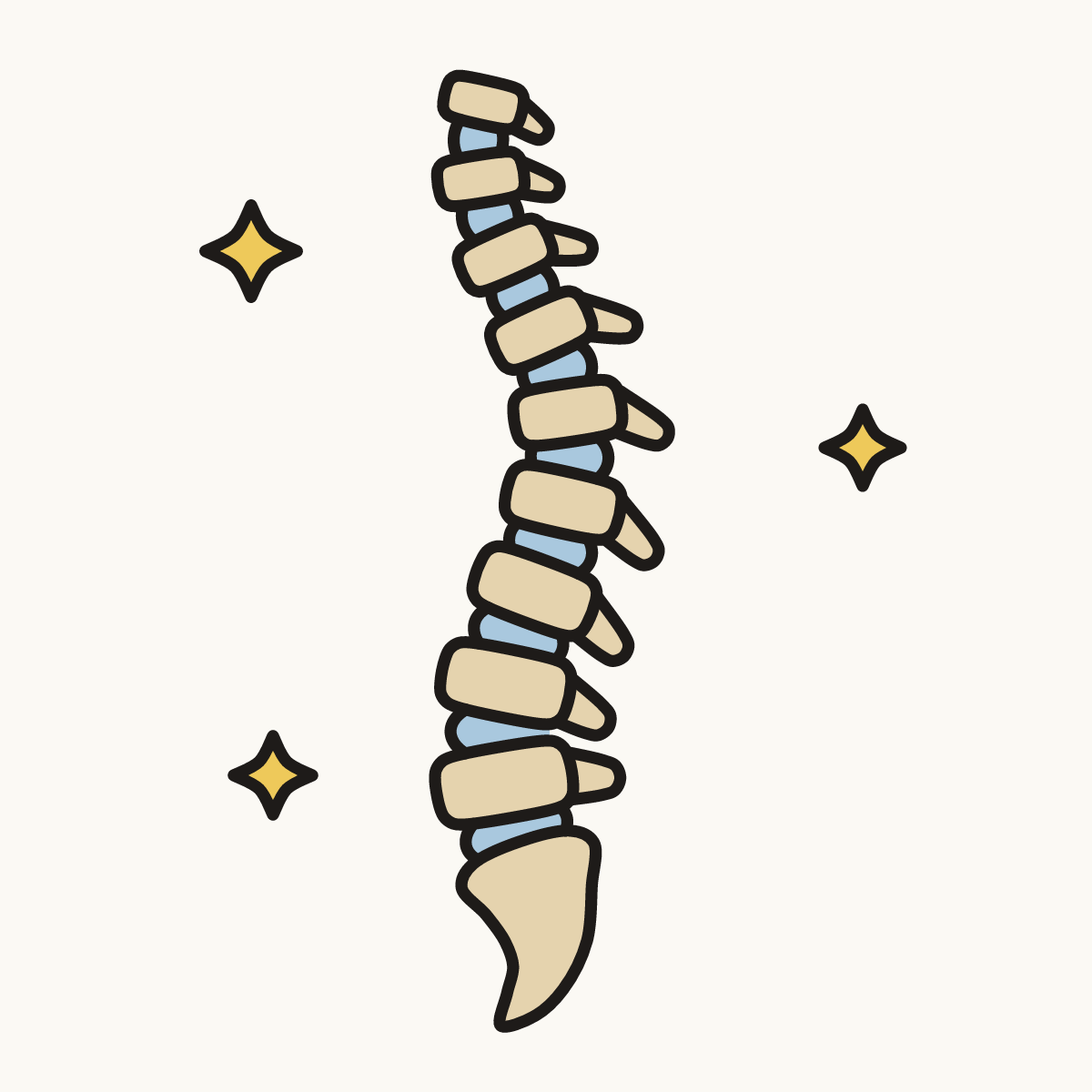 Finished drawing of a spine