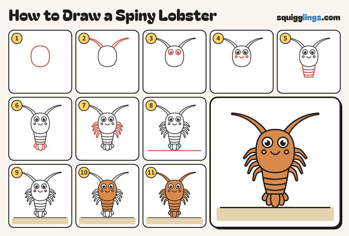 How to Draw a Spiny Lobster step by step: all 11 steps in one picture