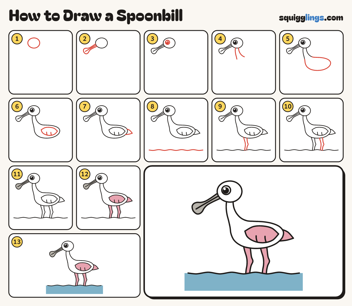 How to Draw a Spoonbill step by step: all 13 steps in one picture