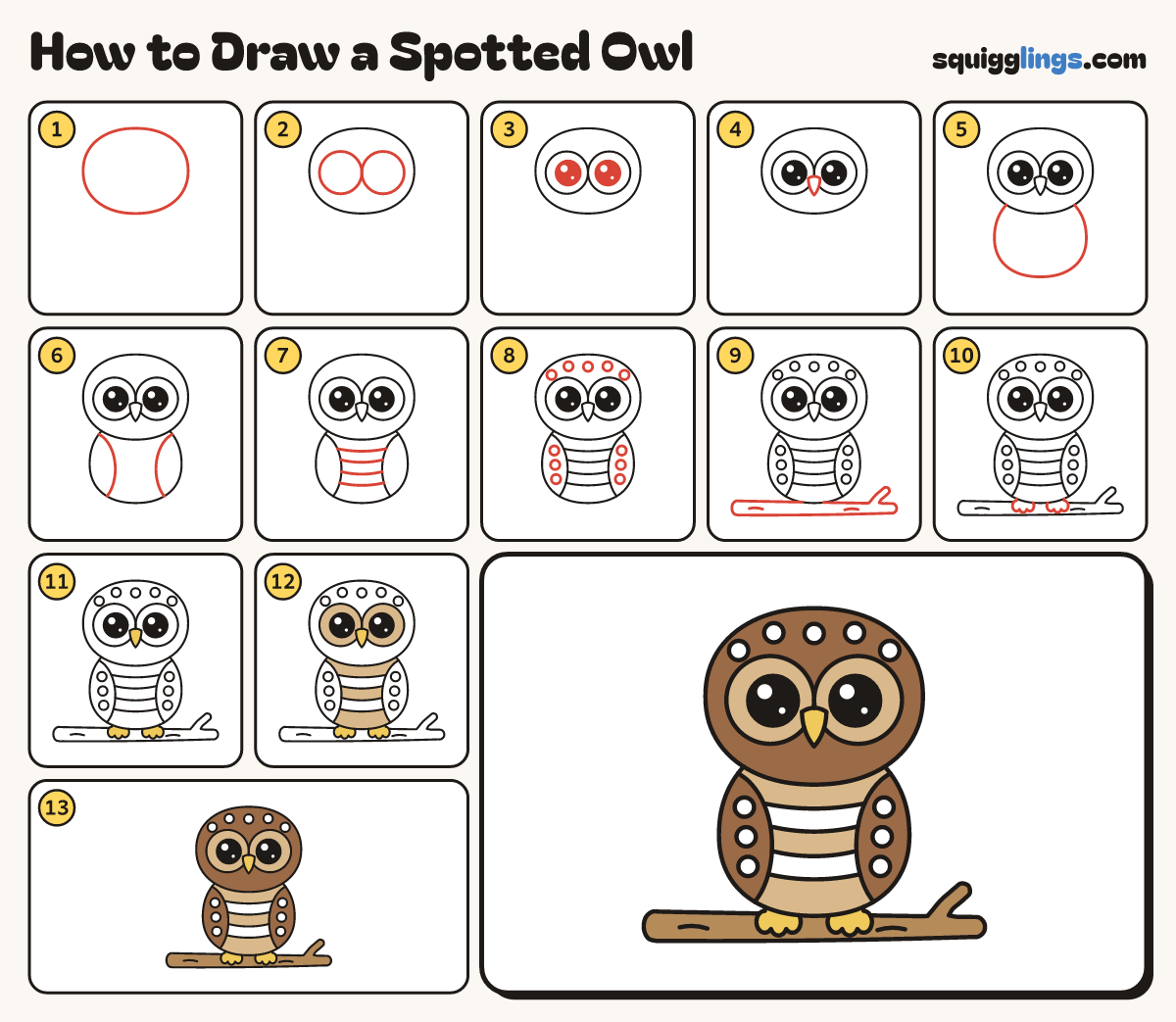 How to Draw a Spotted Owl step by step: all 13 steps in one picture