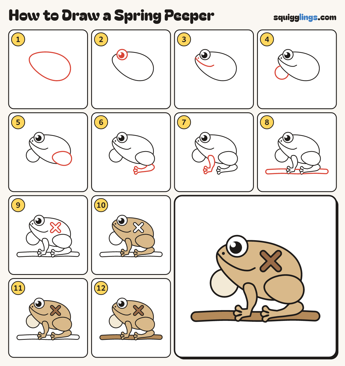 How to Draw a Spring Peeper step by step: all 12 steps in one picture