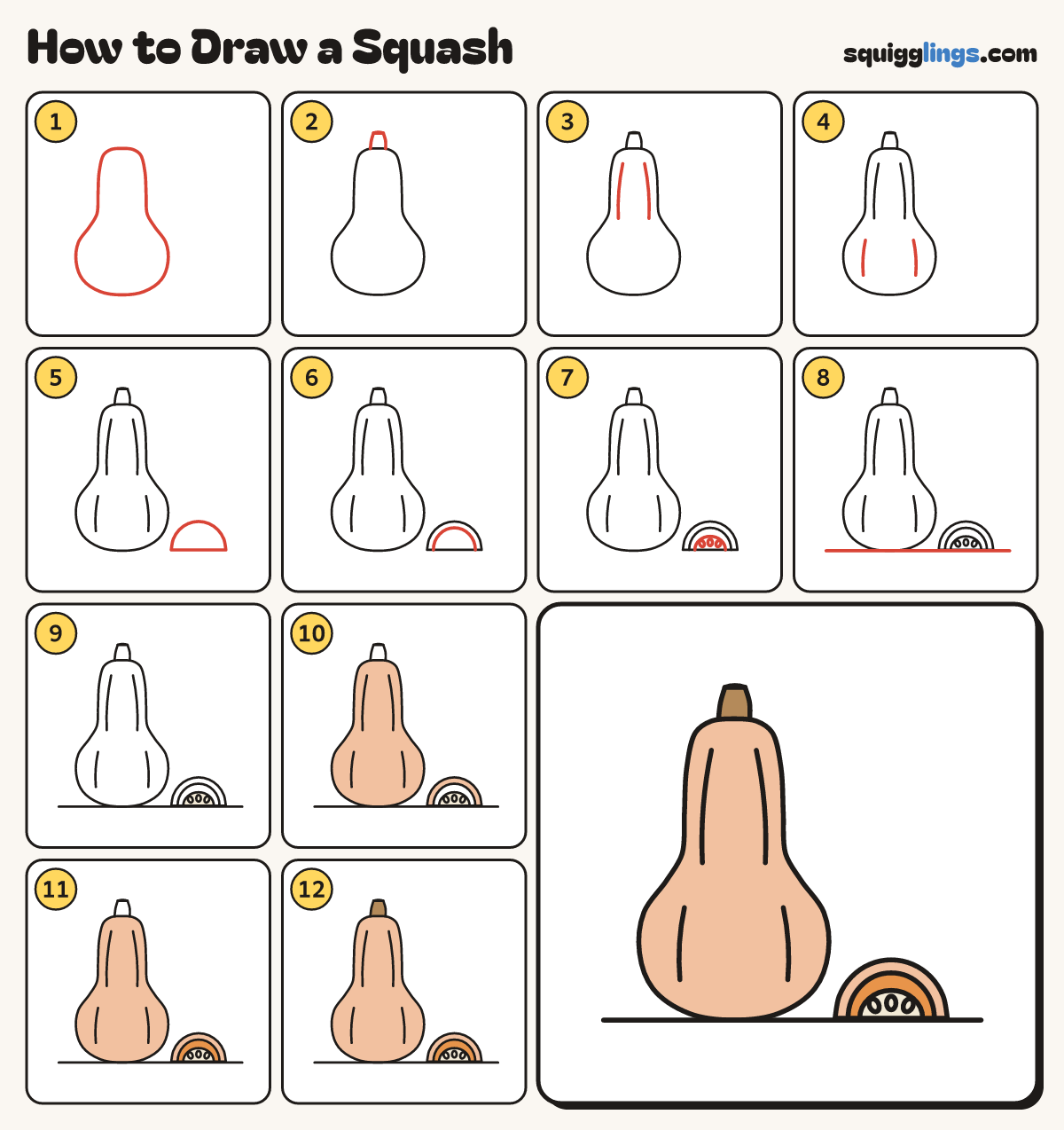 How to Draw a Squash step by step: all 12 steps in one picture