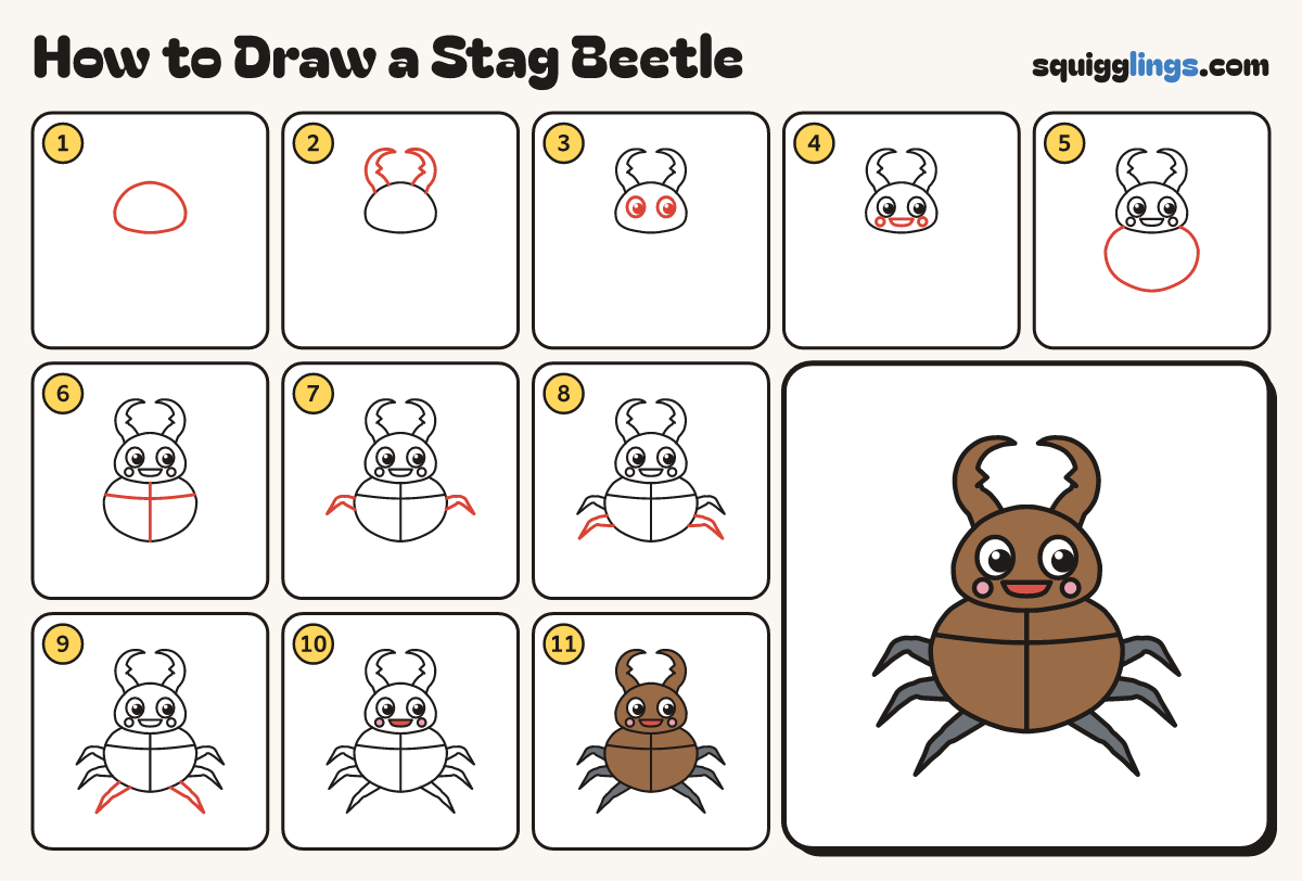 How to Draw a Stag Beetle step by step: all 11 steps in one picture