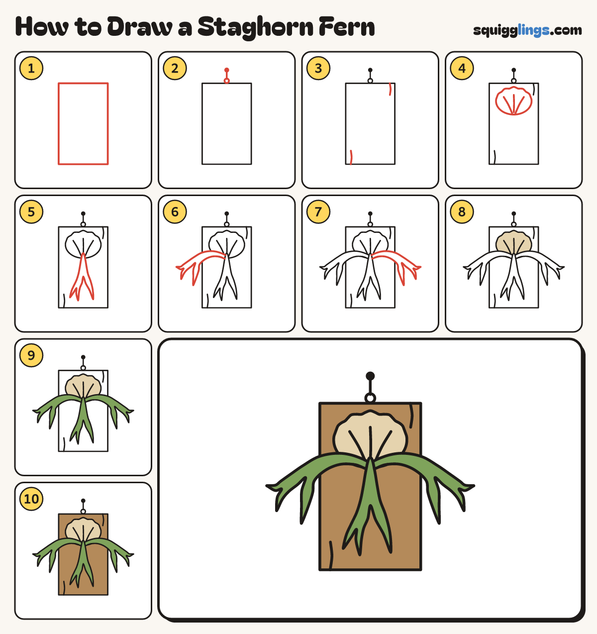 How to Draw a Staghorn Fern step by step: all 10 steps in one picture