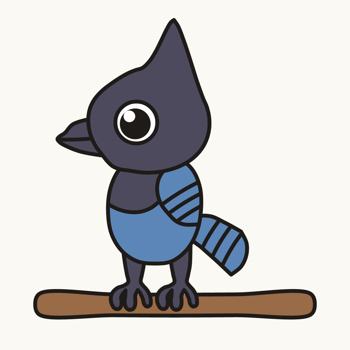 Finished drawing of a steller’s jay