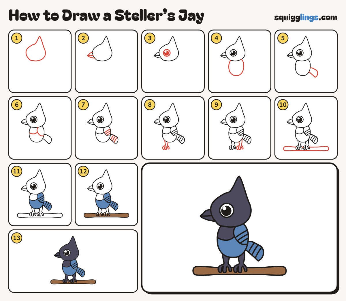 How to Draw a Steller’s Jay step by step: all 13 steps in one picture
