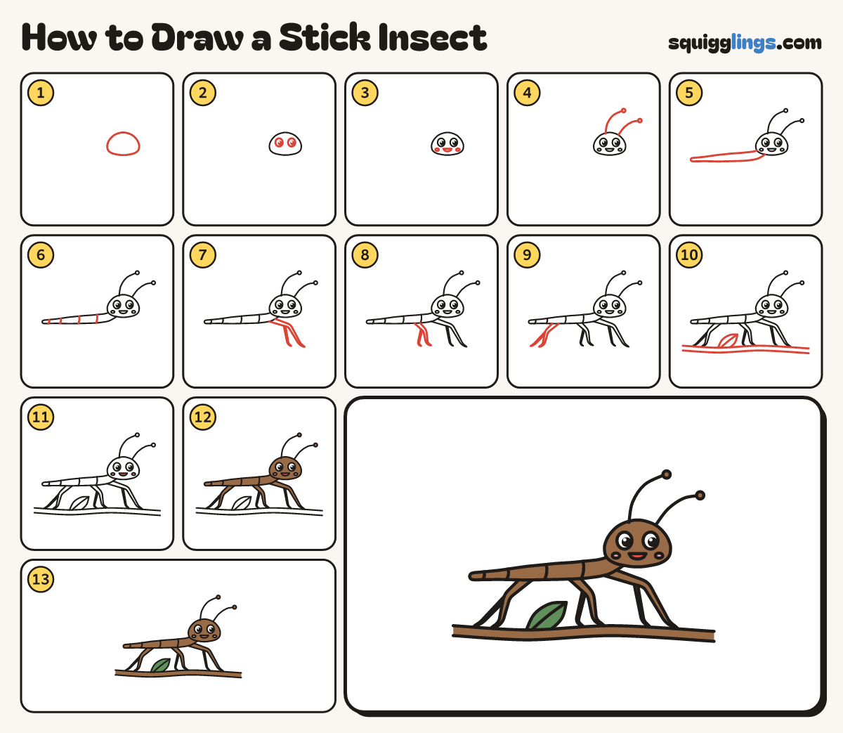 How to Draw a Stick Insect step by step: all 13 steps in one picture