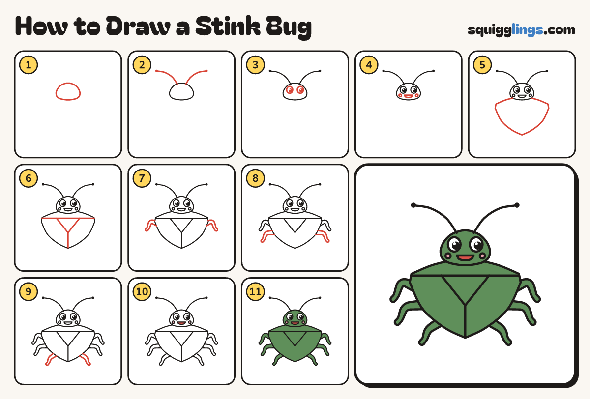 How to Draw a Stink Bug step by step: all 11 steps in one picture