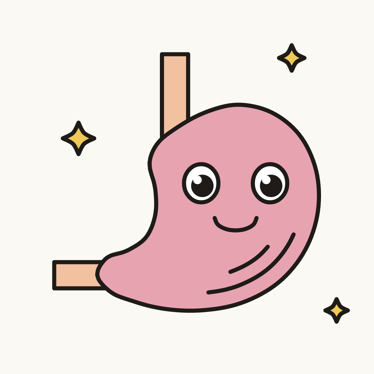 Finished drawing of a stomach