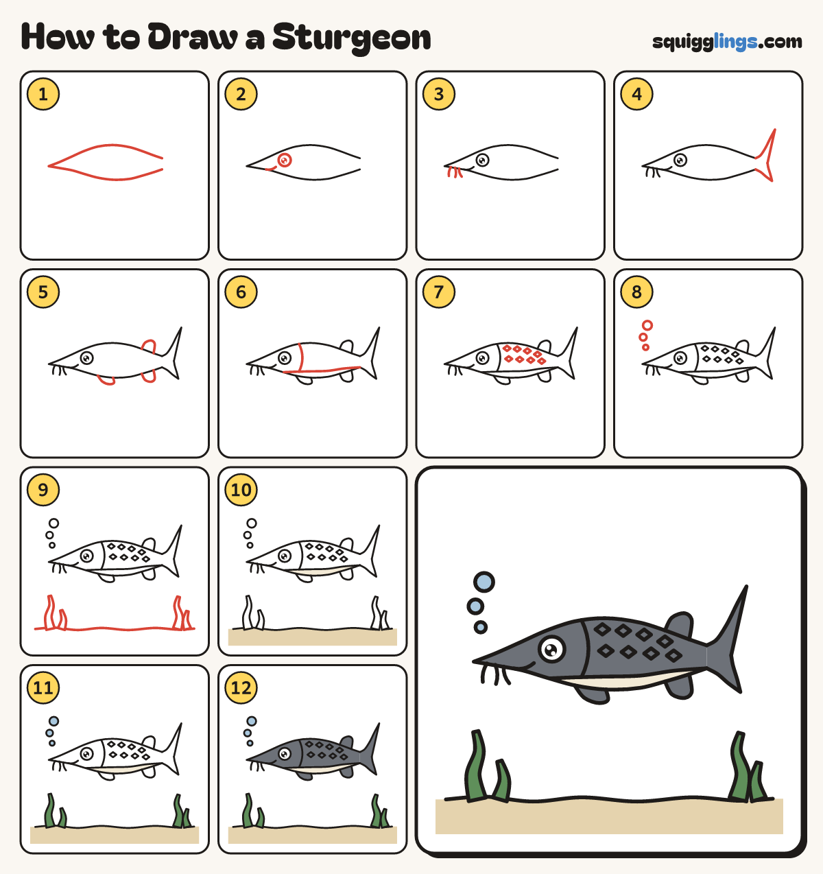 How to Draw a Sturgeon step by step: all 12 steps in one picture