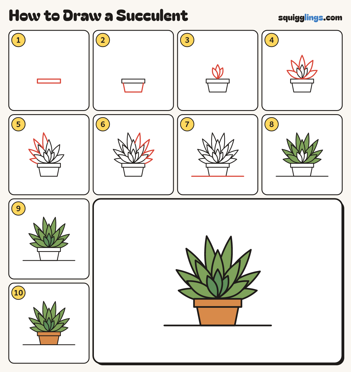 How to Draw a Succulent step by step: all 10 steps in one picture