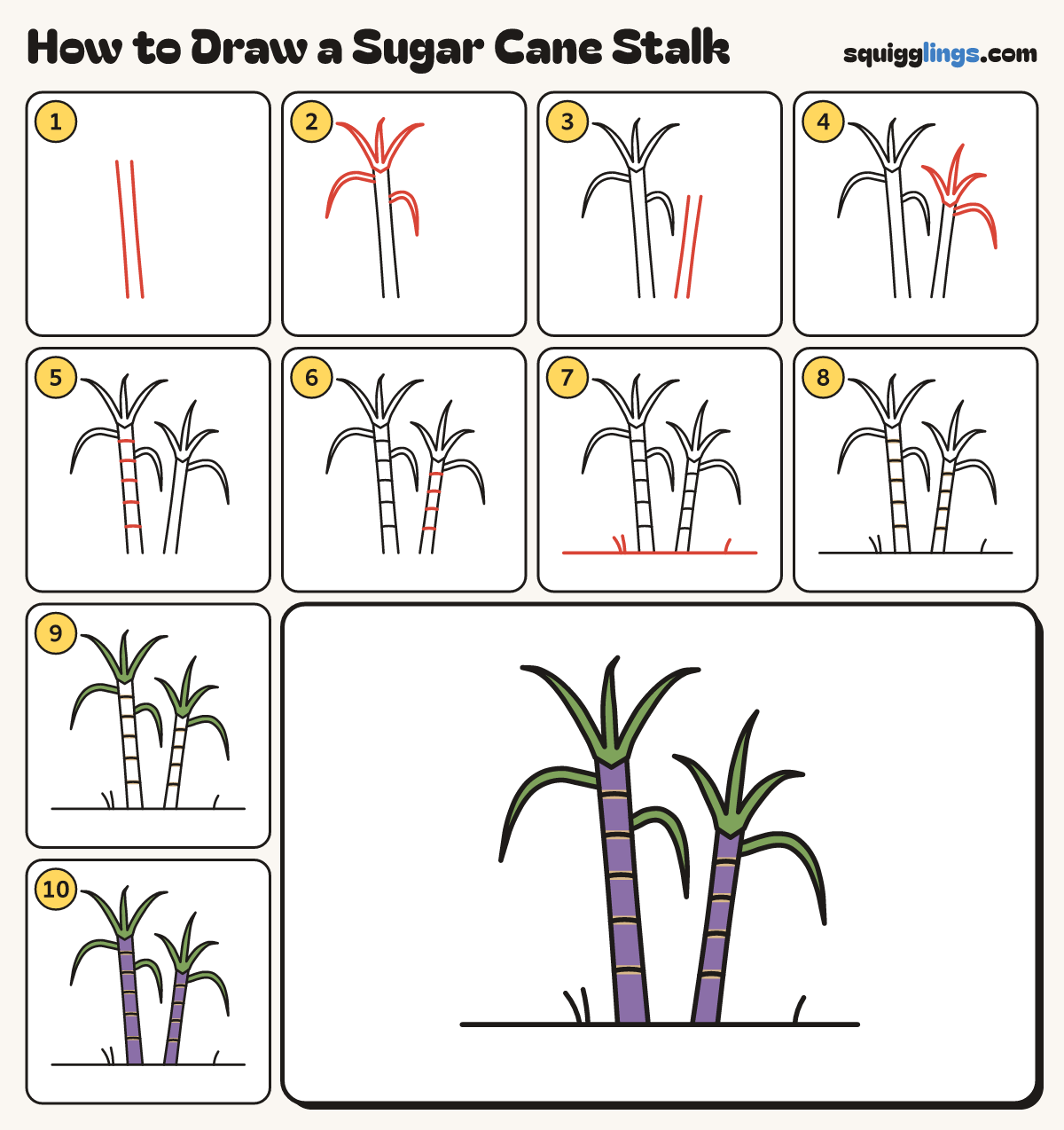 How to Draw a Sugar Cane Stalk step by step: all 10 steps in one picture