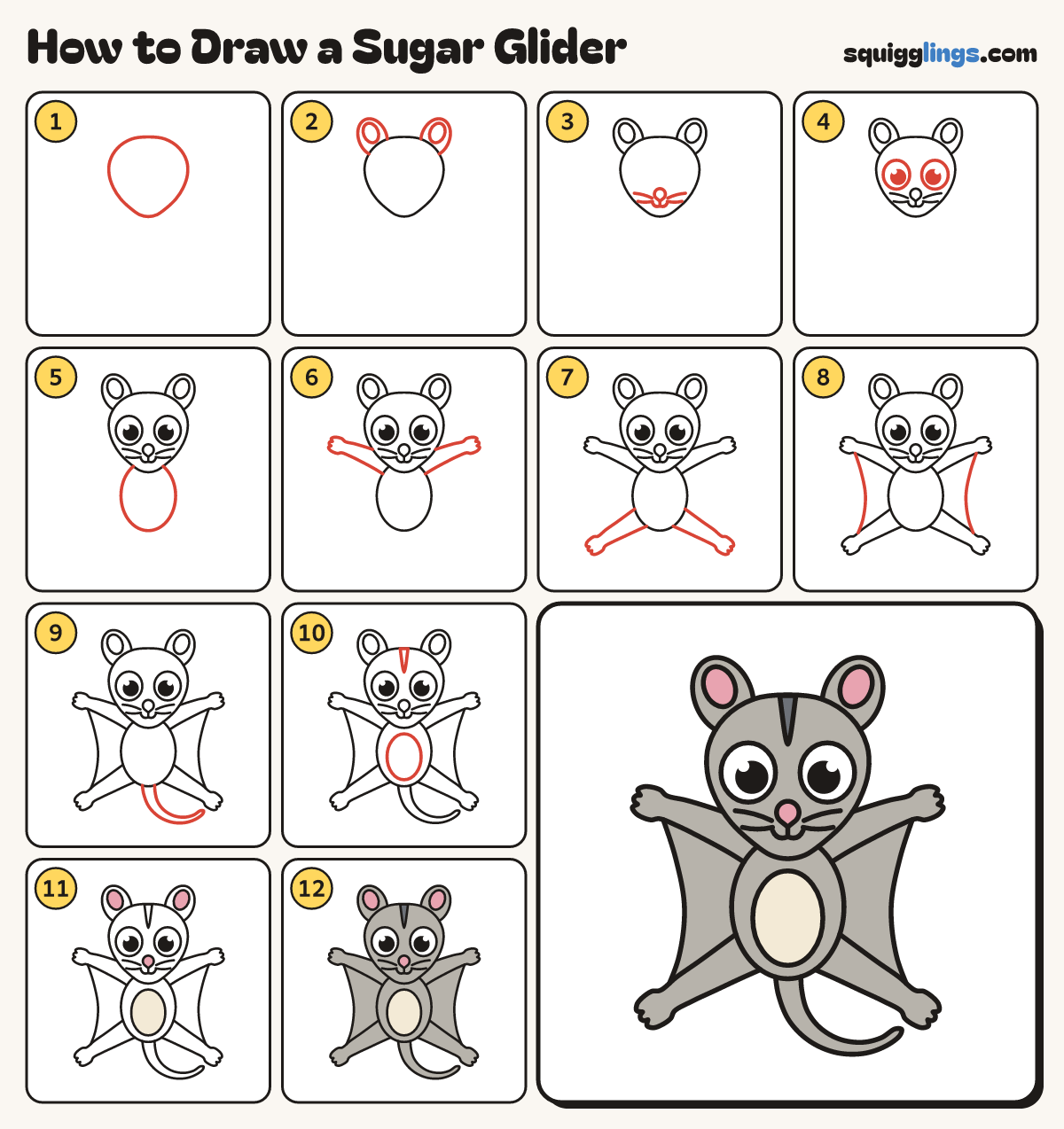 How to Draw a Sugar Glider step by step: all 12 steps in one picture