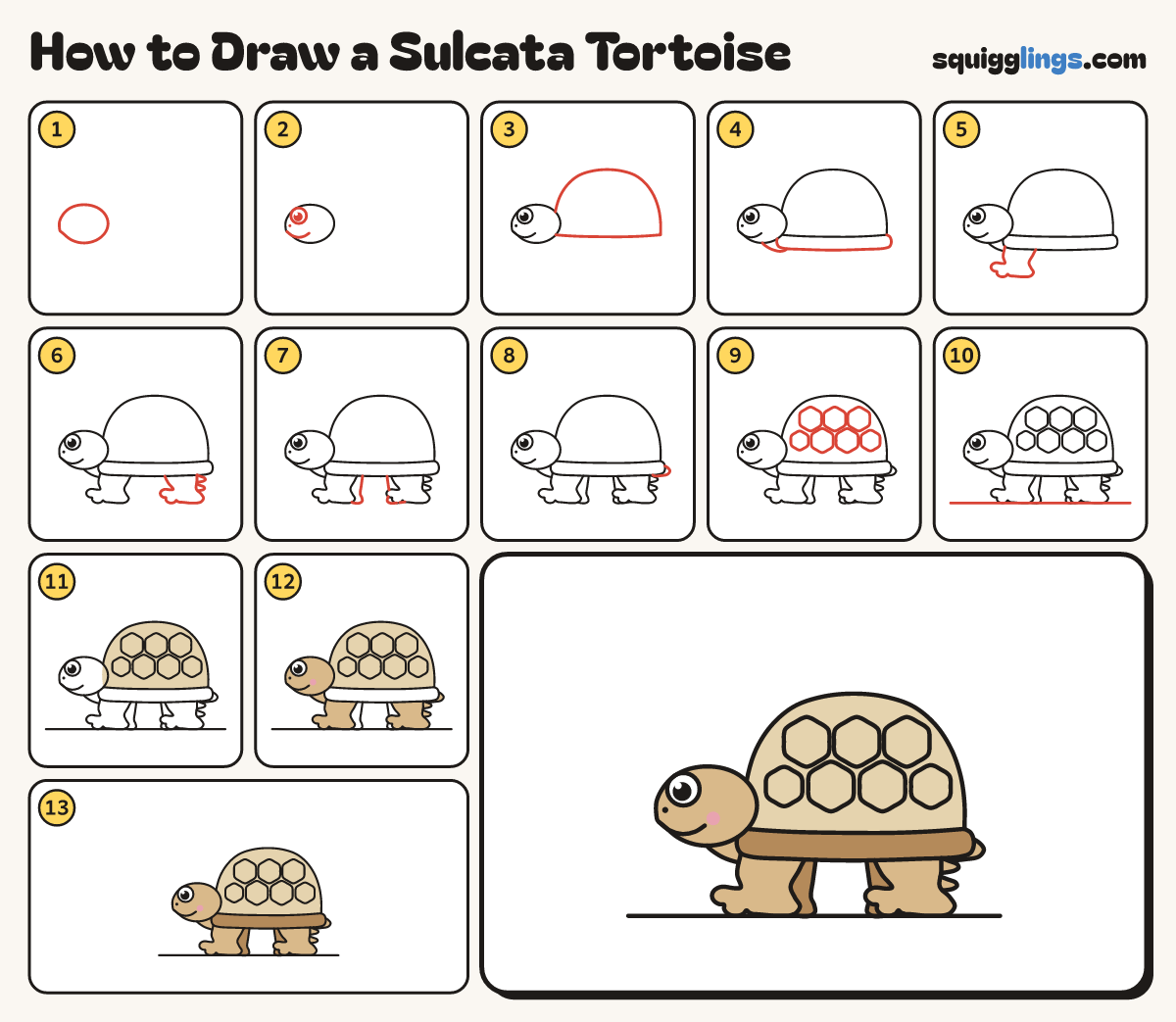 How to Draw a Sulcata Tortoise step by step: all 13 steps in one picture