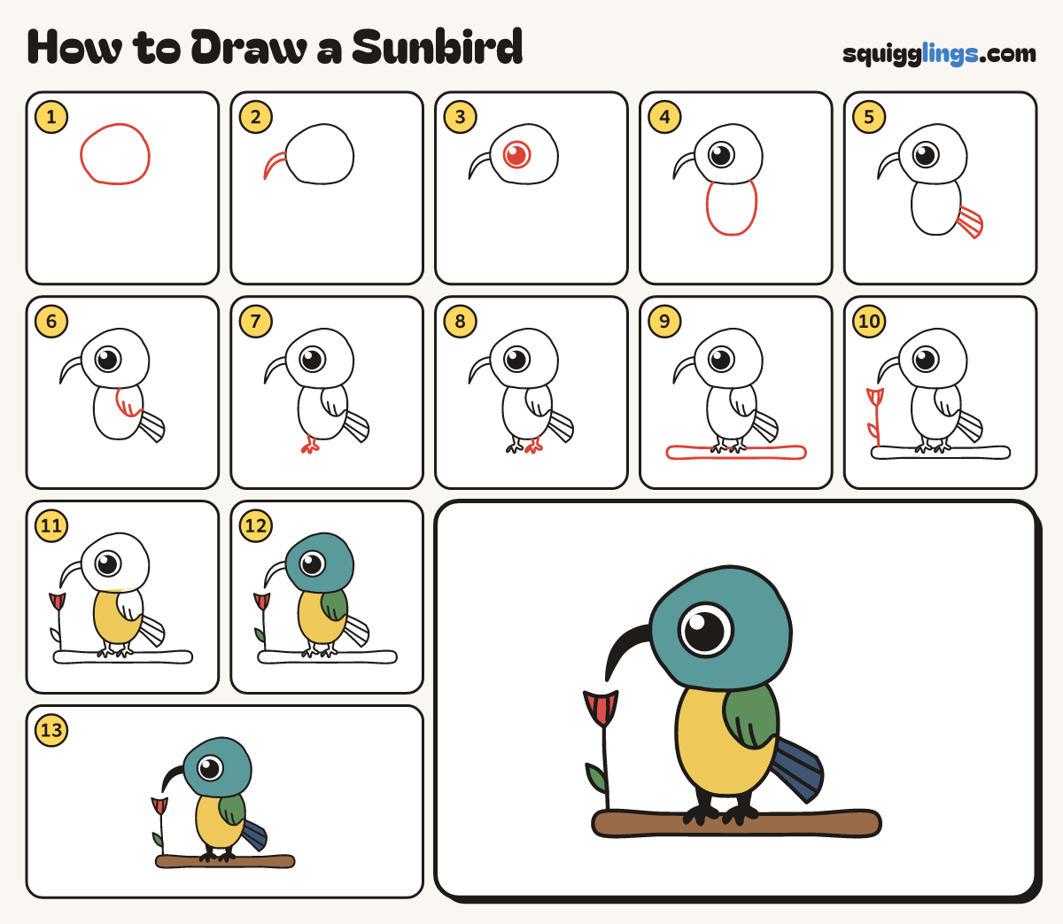 How to Draw a Sunbird step by step: all 13 steps in one picture
