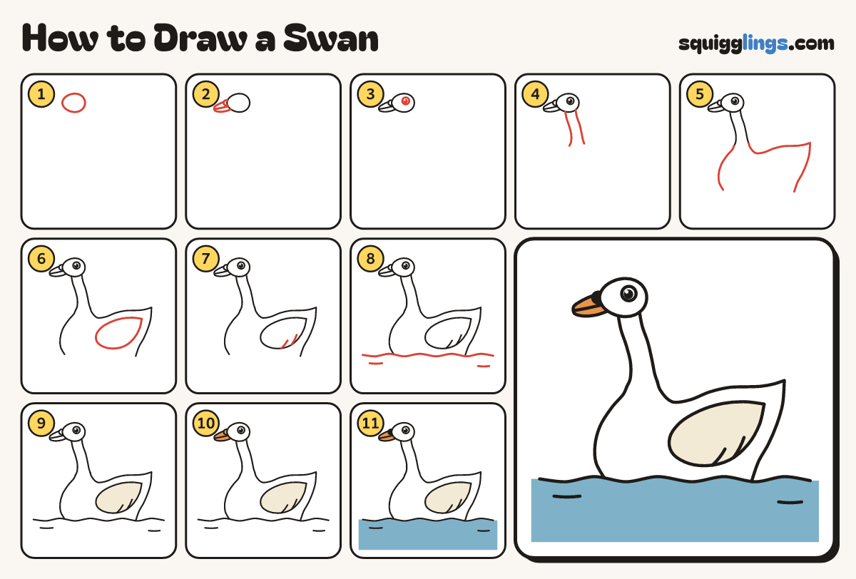 How to Draw a Swan step by step: all 11 steps in one picture