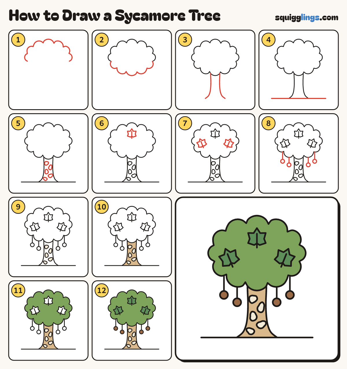 How to Draw a Sycamore Tree step by step: all 12 steps in one picture