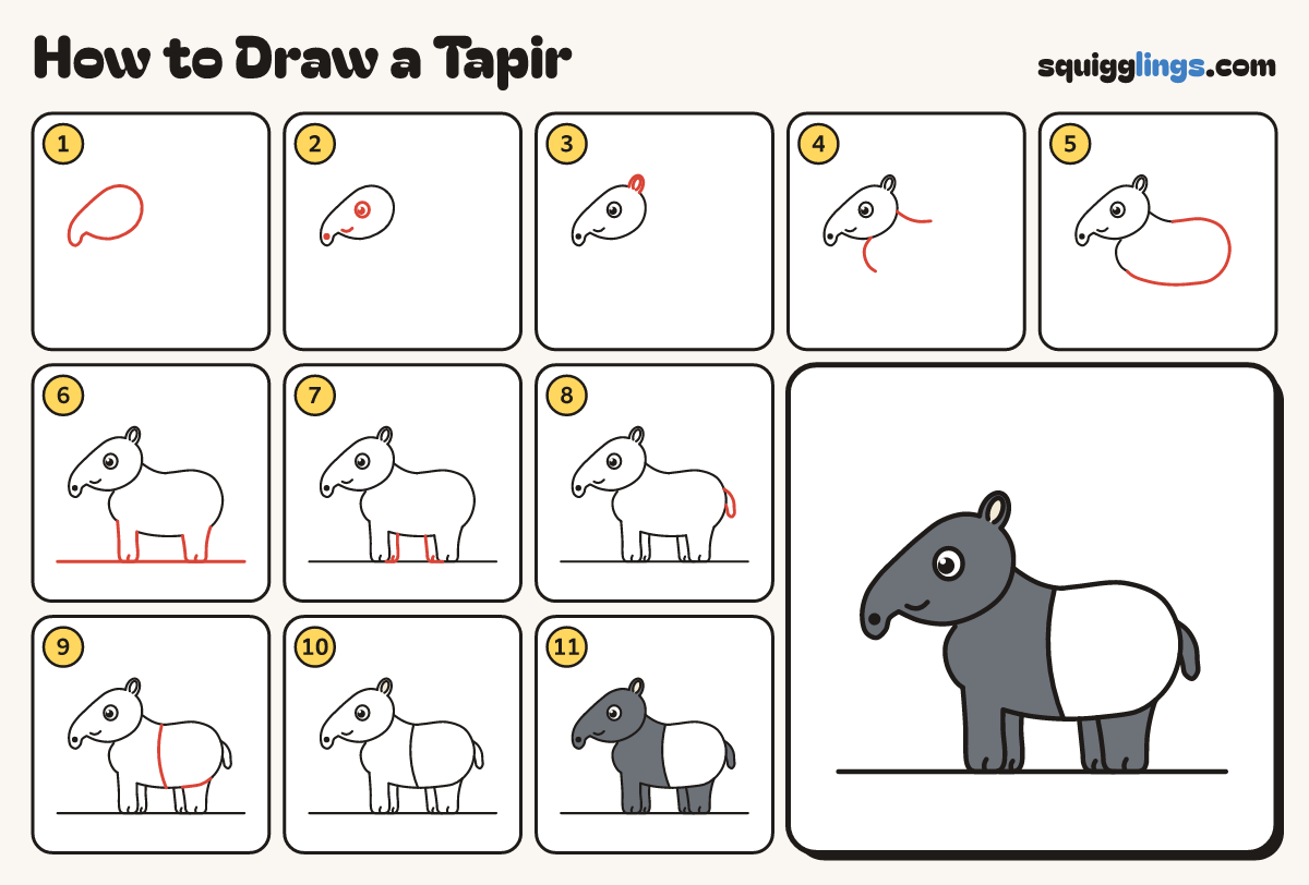 How to Draw a Tapir step by step: all 11 steps in one picture