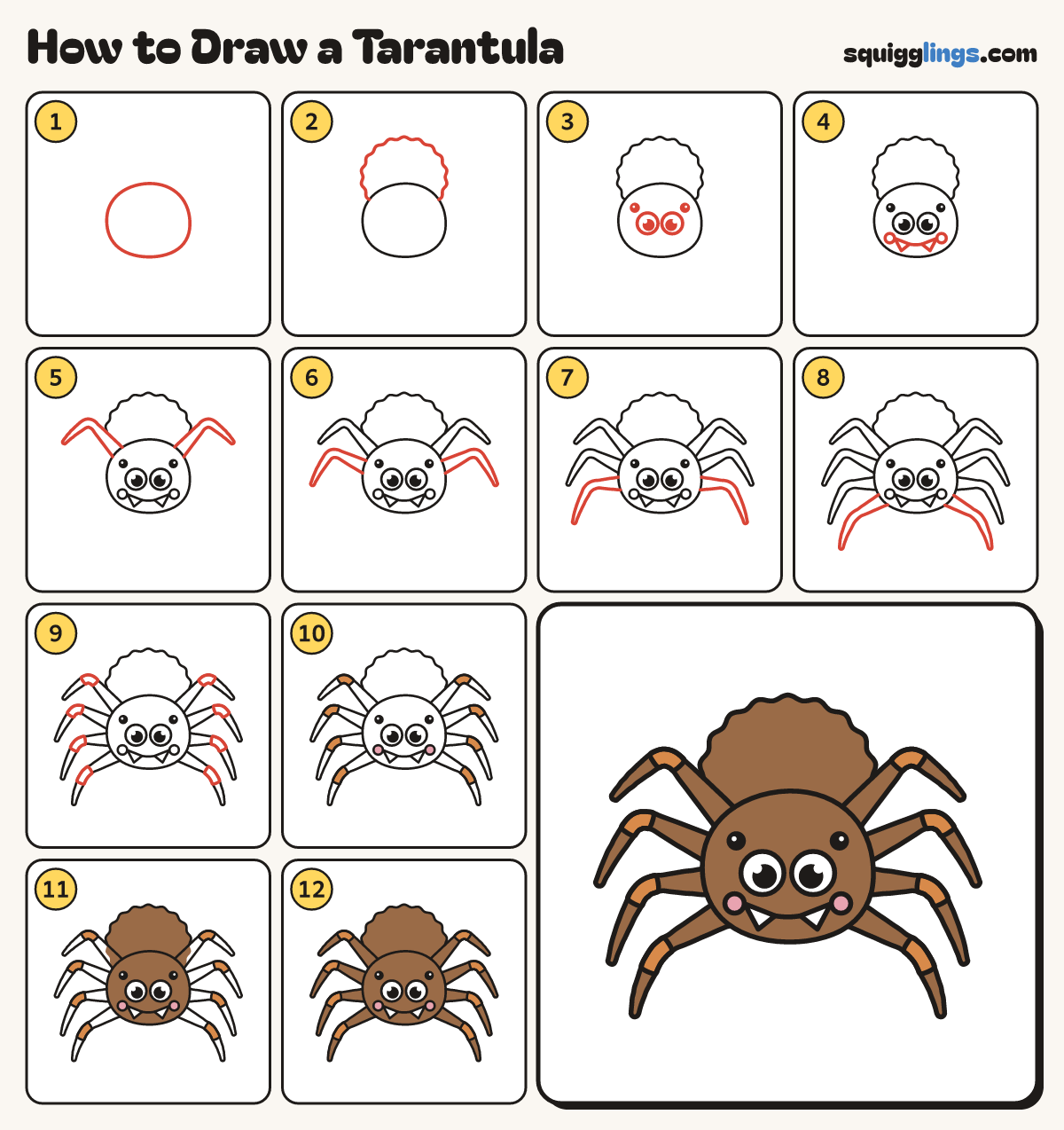 How to Draw a Tarantula step by step: all 12 steps in one picture