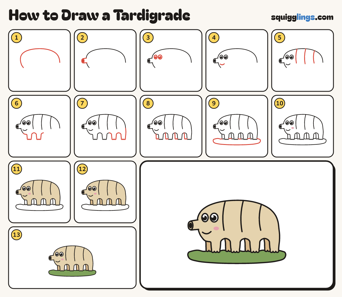How to Draw a Tardigrade step by step: all 13 steps in one picture