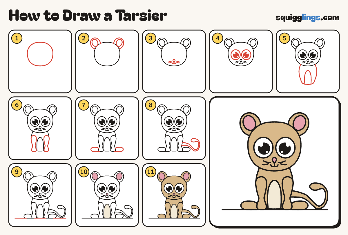 How to Draw a Tarsier step by step: all 11 steps in one picture