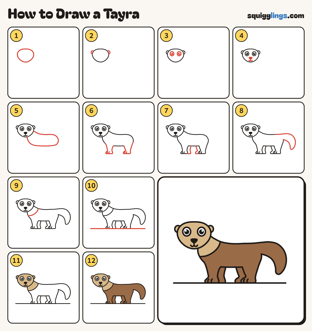 How to Draw a Tayra step by step: all 12 steps in one picture