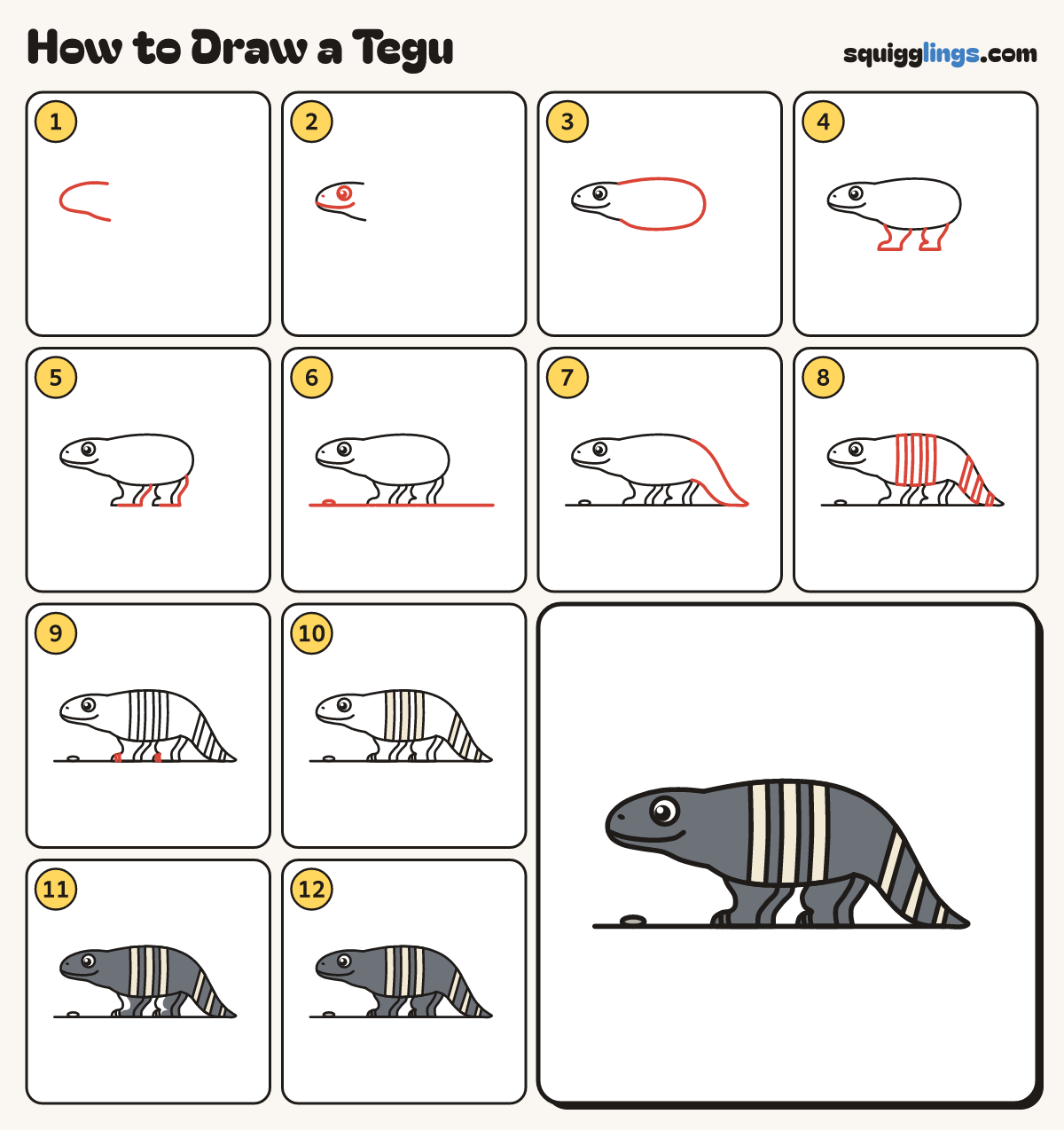 How to Draw a Tegu step by step: all 12 steps in one picture