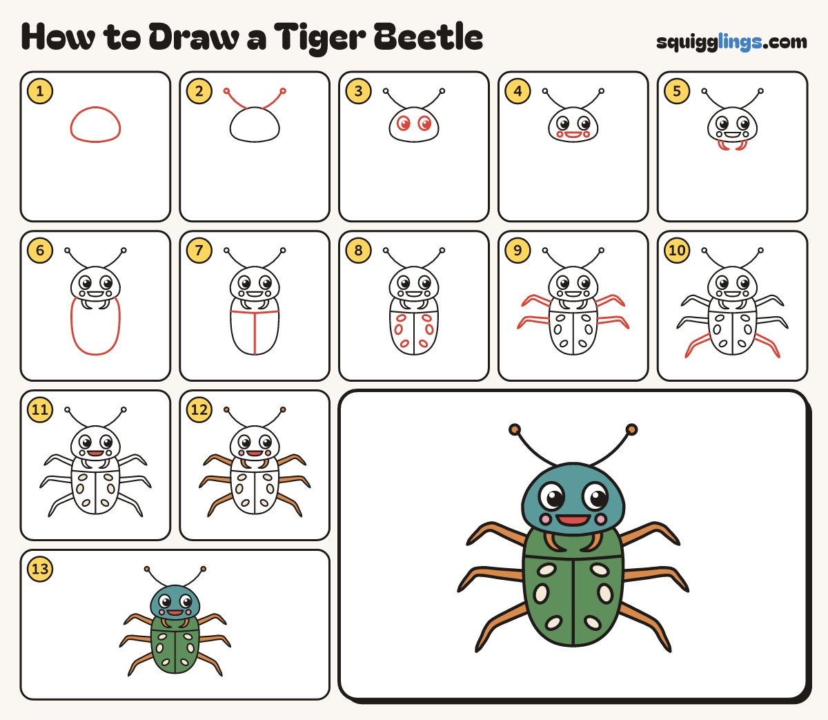 How to Draw a Tiger Beetle step by step: all 13 steps in one picture