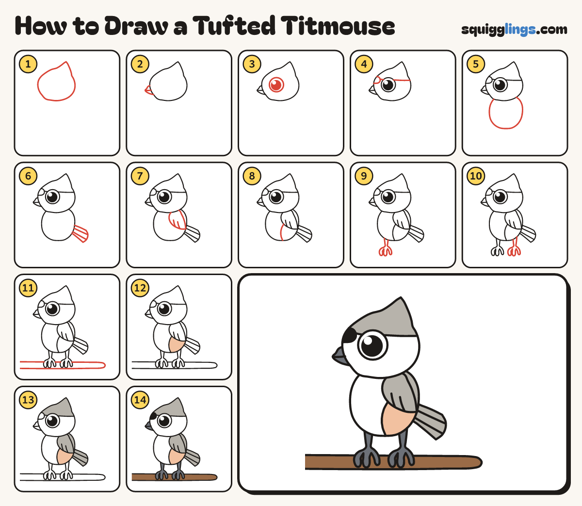 How to Draw a Tufted Titmouse step by step: all 14 steps in one picture