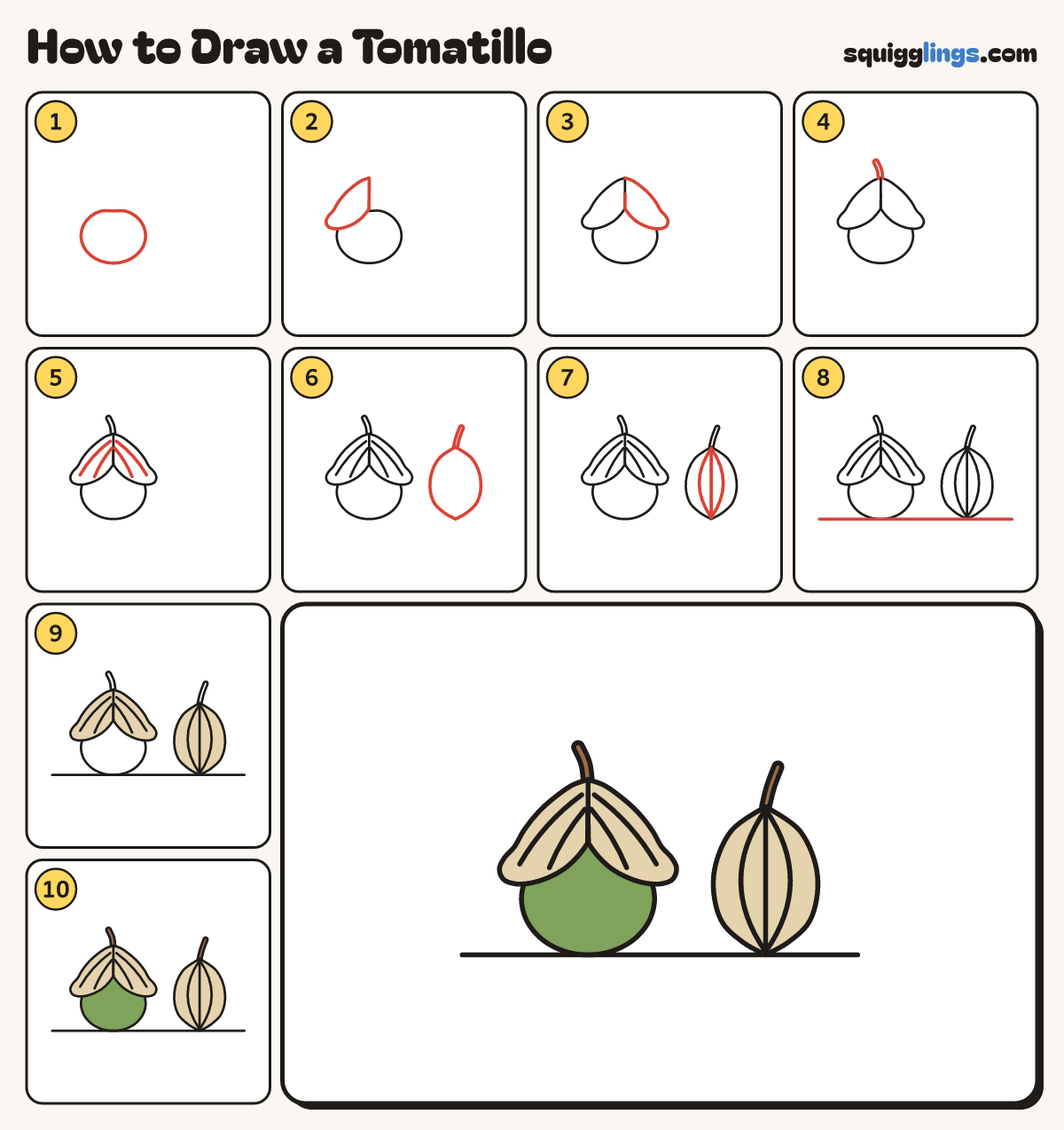 How to Draw a Tomatillo step by step: all 10 steps in one picture