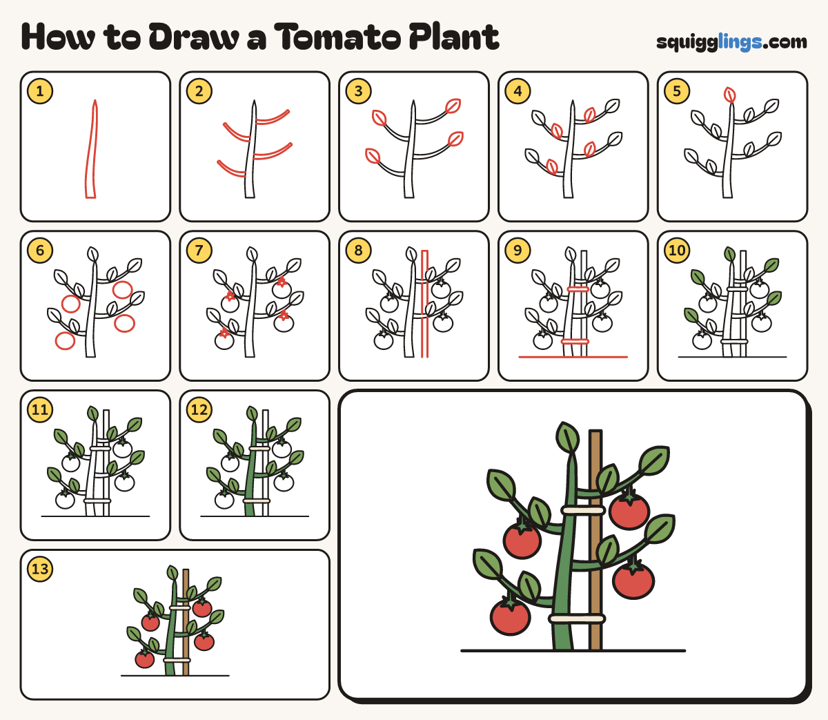 How to Draw a Tomato Plant step by step: all 13 steps in one picture